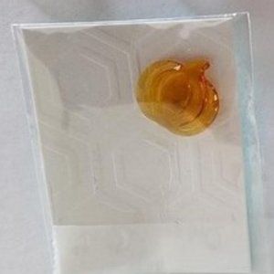 NEW in package Origami Owl Swarovski Crystal Orange Pumpkin